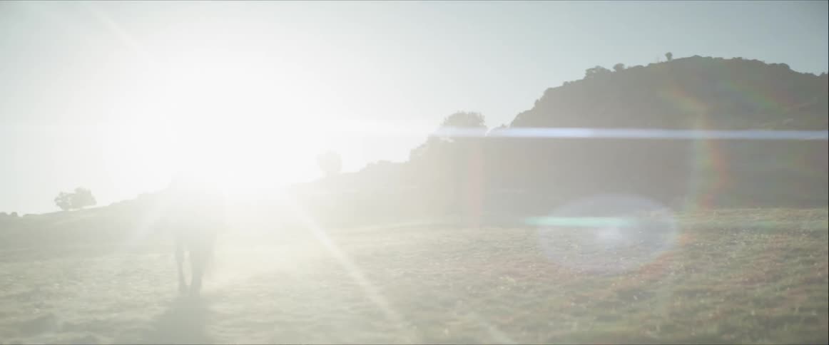 Under blindingly bright sunlight a young woman rides atop a horse through a field