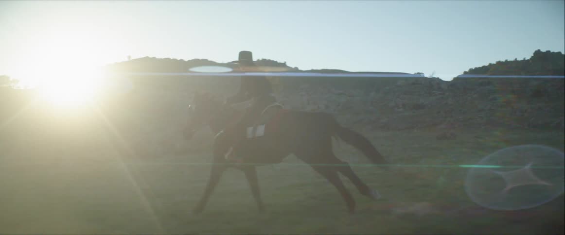 A woman rides a horse through a field