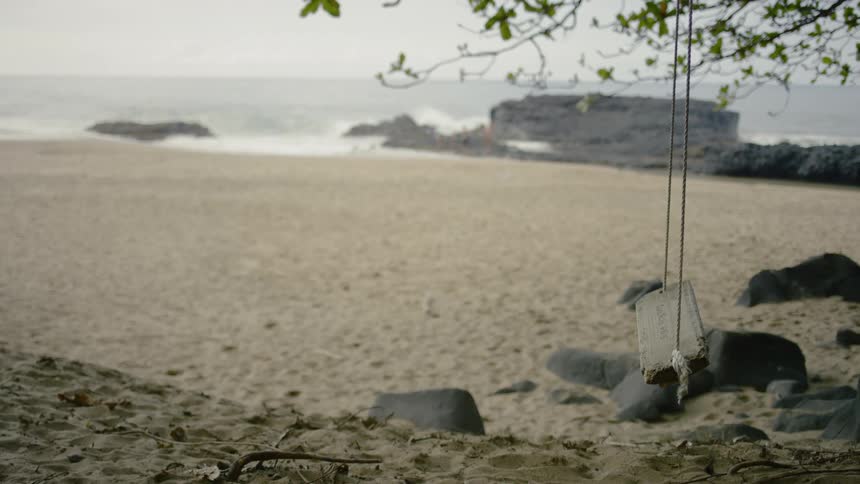 A swing hangs idly from a tree while waves crash upon the sandy shore behind it