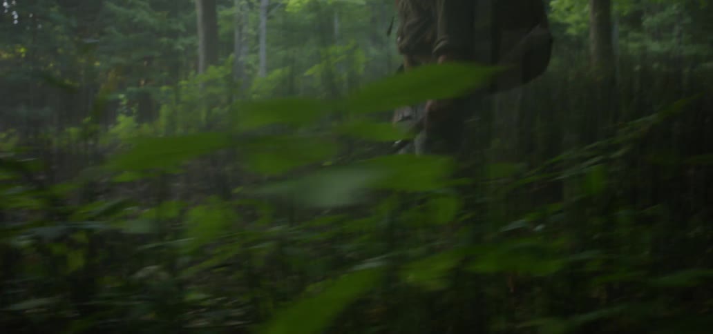 A hiker walking through a woodland