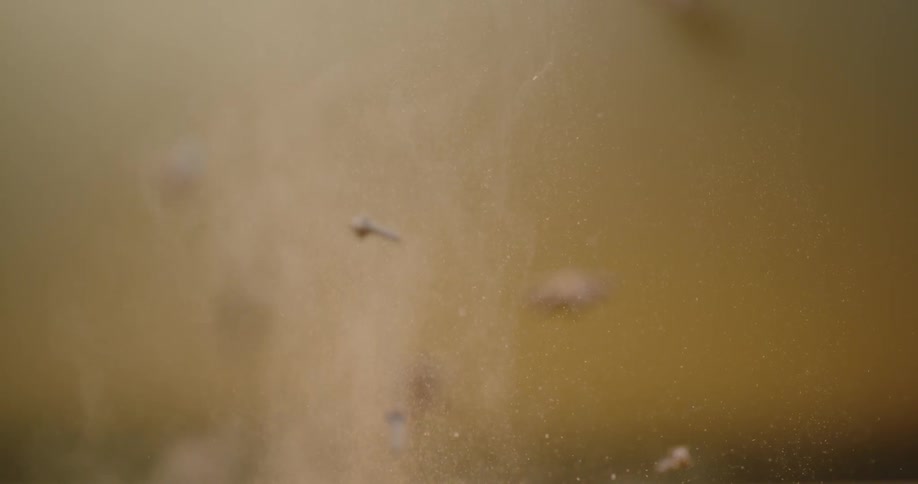 Spices and lemon slices fly into the air