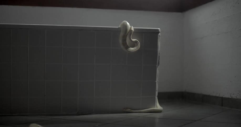 A snake slithers out of a container as another one moves across the floor