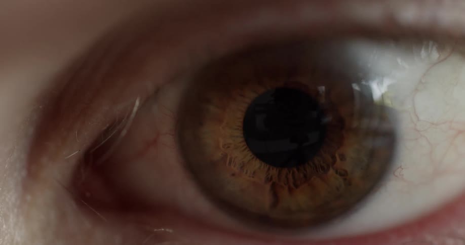 Close up of brown eye blinking and looking around