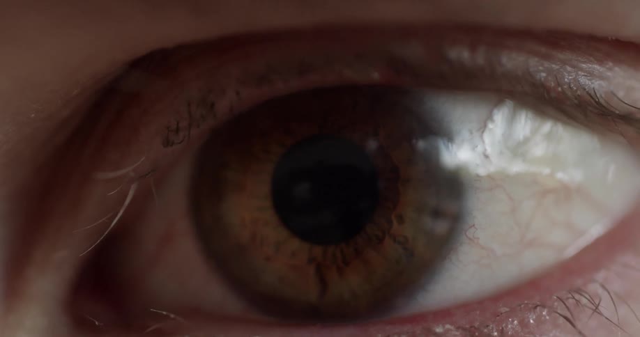 An eyeball moves slightly and blinks