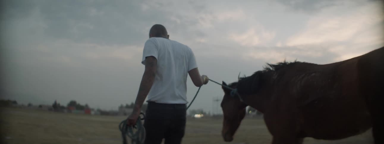 A man leading a horse through a field