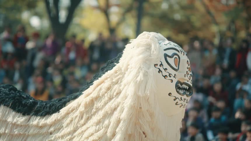 The fringe around a mask and costume shakes as a dancer performs outside in front of a crowd