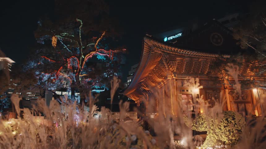 Lights illuminate an asian themed building