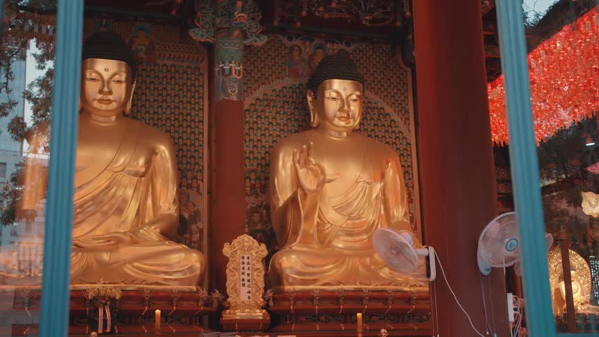 Two golden buddha statues in glass fronted room
