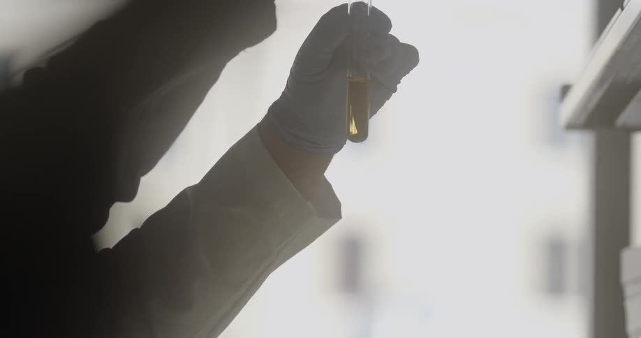A scientists gloved hands add drops of yellow liquid into a test tube