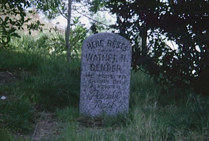 A tombstone sitting in between some trees