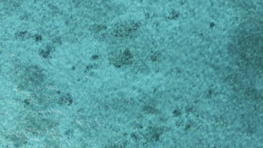 Waves move in the ocean water