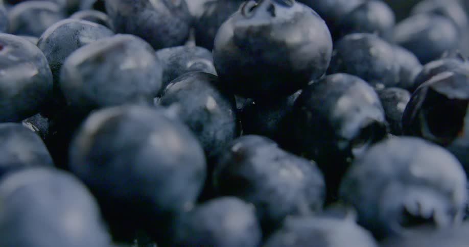 Pile of fresh blueberries