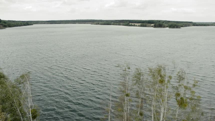 Tall trees grow along the shore of a large lake