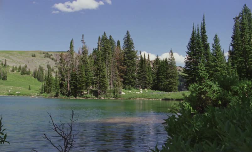 Lake surrounded by pine trees under blue sky