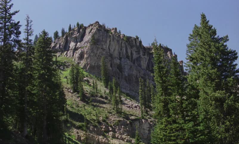 Landscape view of trees and a cliff