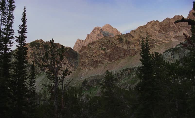 The tall trees line the mountain range