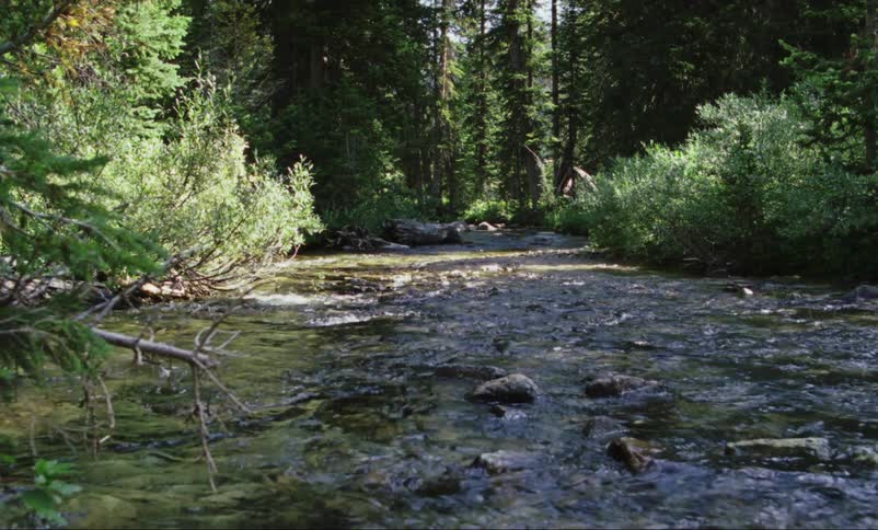 Water trickles through a creek