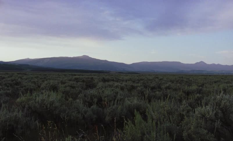 A grassy plain with mountains and the sky in the background