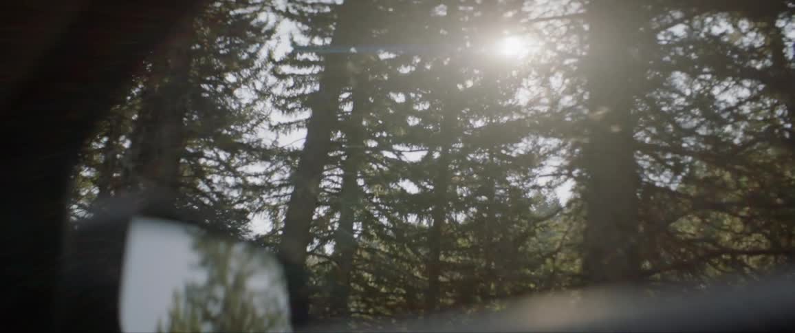 The vehicle drives past the forest