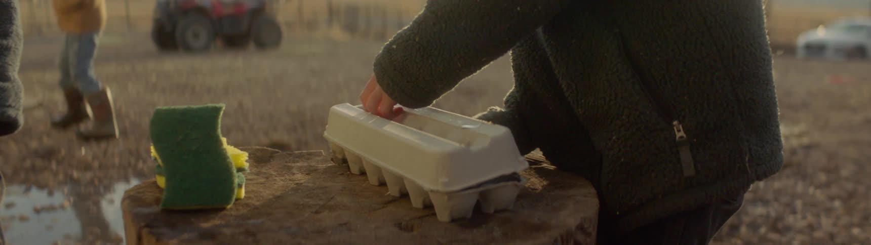 Children play on the farm as someone puts eggs in a carton