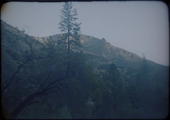Vintage film of trees and mountain