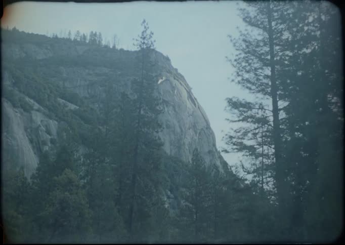 A car drives by pine trees in mountains