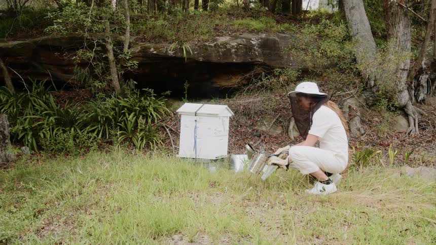 A beekeeper is kneeling by a hive on the farm