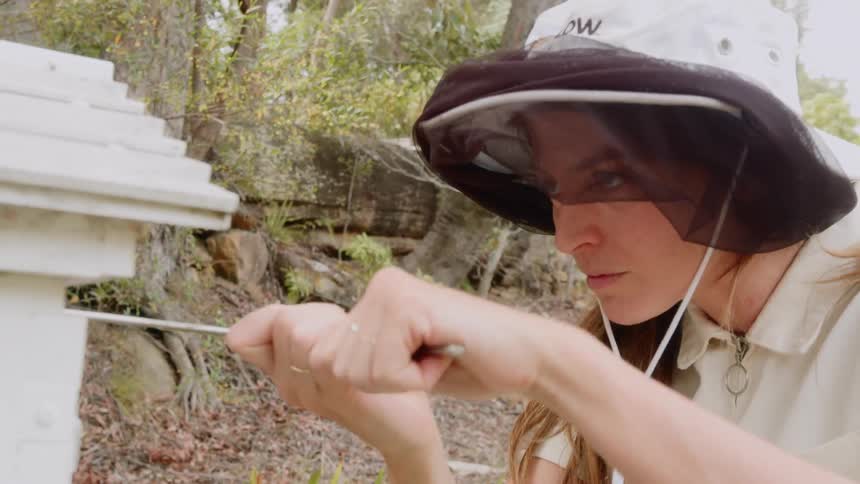Woman forces thin metal bar into beehive