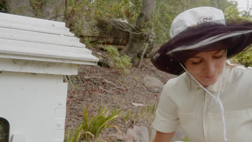 Beekeeper tastes honey then opens jar