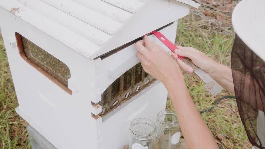 A beekeeper works next to a beehive outside