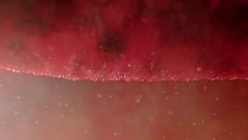 Bubbles rise in liquid under submerged translucent object
