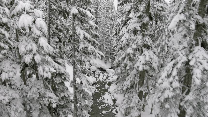 An icy river cuts through a snowy forest