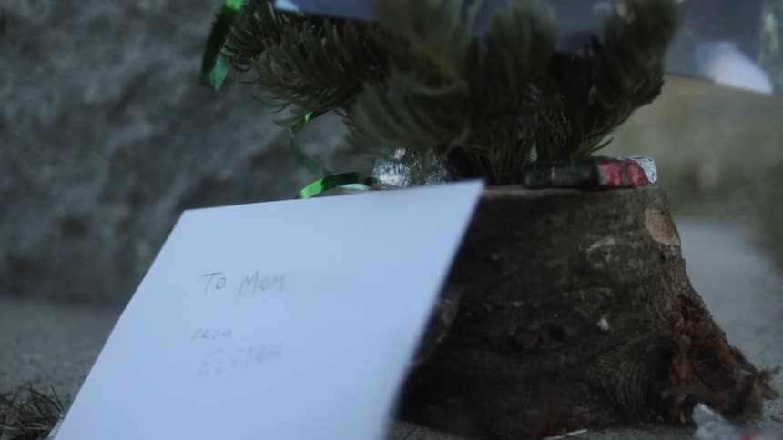 A family picture and a card sit at the base of a tree