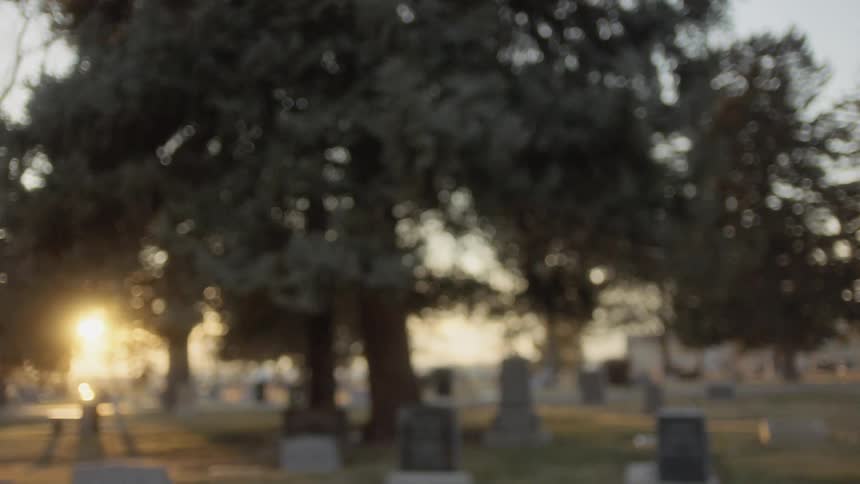 A child visiting a graveyard