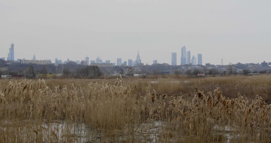 A field outside of a city during the day