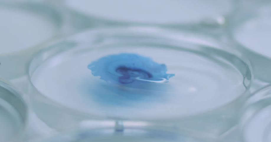 Blue droplet splashes into dish of water