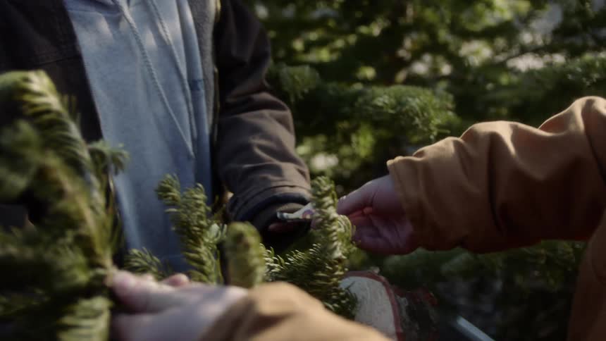 A teenage boy gives a man money for a small plant