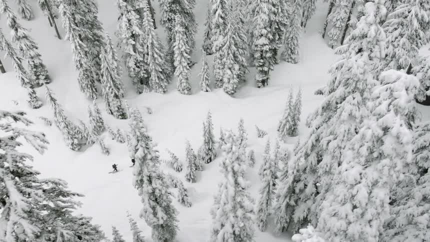 People walking through a snowy forest