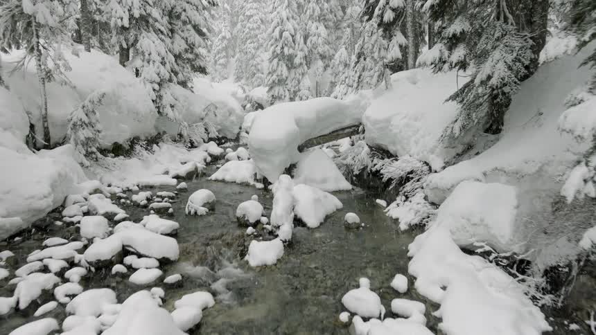 A river cuts through a snowy forest