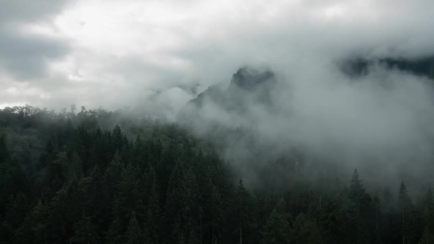 An aerial view of low hanging clouds covering a mountain forest