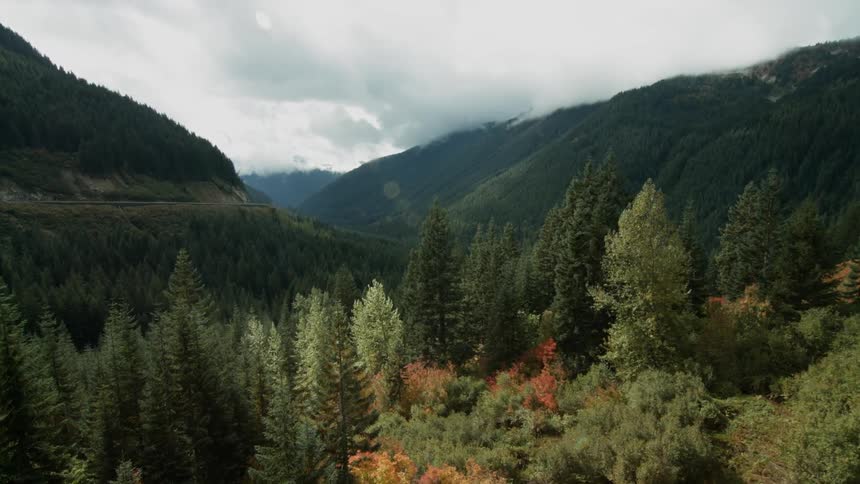 A forest near a mountain as seen from above