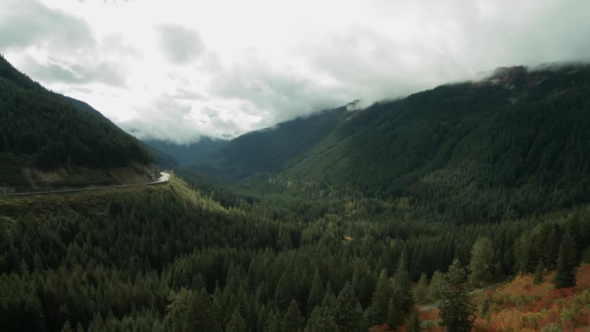A forest near a mountain as seen from above