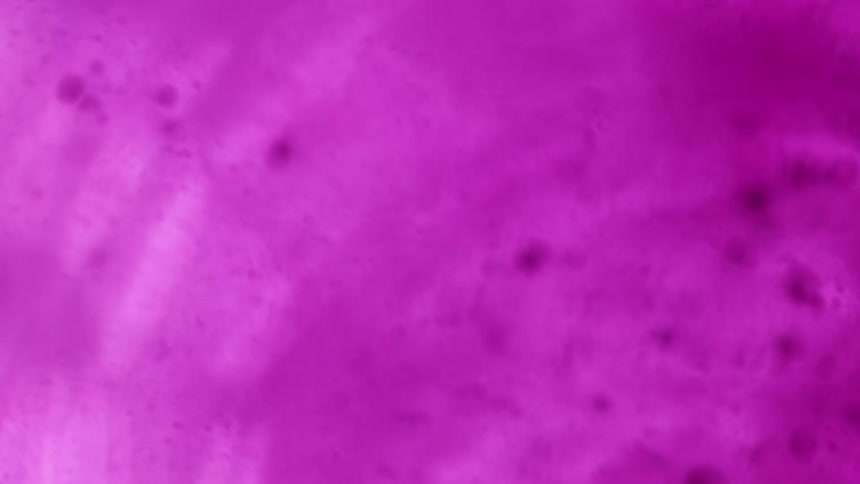 Purple liquid is moving around in a container