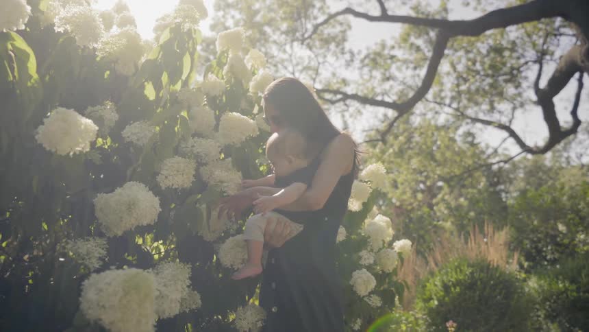 A woman walks to a flower bush and lets her baby that she is carrying smell the flowers