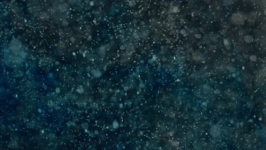 Bubbles float around in the water