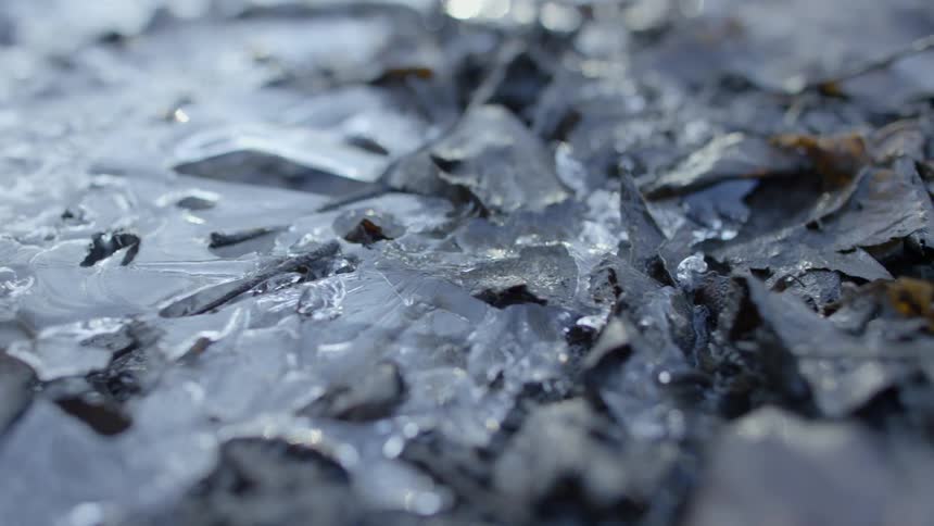 Water and frozen dead leaves on the ground