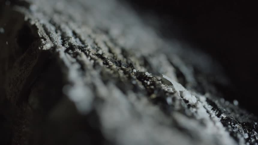 Ashes blowing across burnt logs