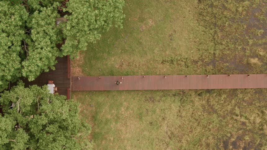 Someone walking across a wooden walkway over a grassy field