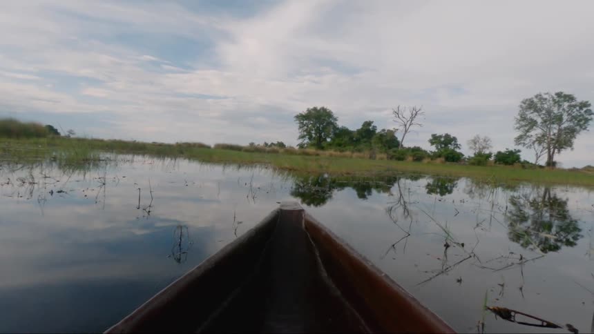 A boat floats through a marsh