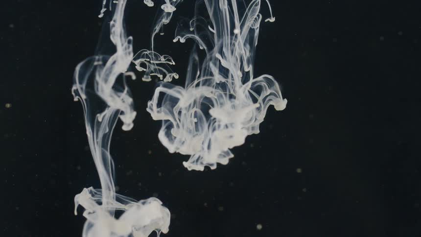 Smoke drifts in a downward direction